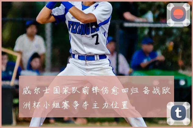 威尔士国家队前锋伤愈回归 备战欧洲杯小组赛争夺主力位置