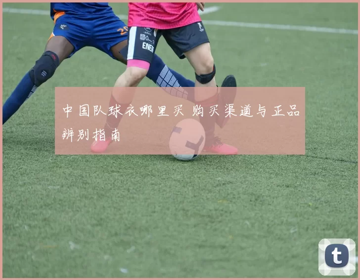 中国队球衣哪里买 购买渠道与正品辨别指南