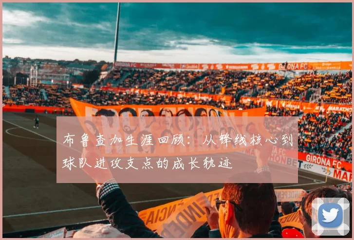 布鲁查加生涯回顾：从锋线核心到球队进攻支点的成长轨迹