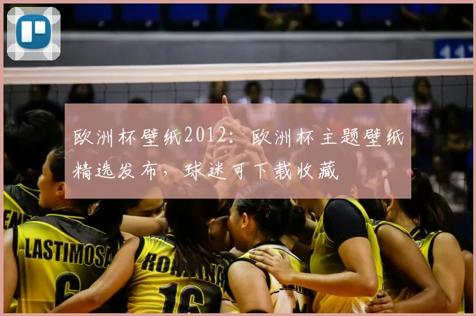 欧洲杯壁纸2012:欧洲杯主题壁纸精选发布,球迷可下载收藏