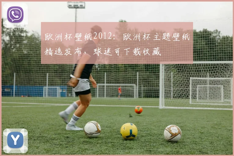 欧洲杯壁纸2012:欧洲杯主题壁纸精选发布,球迷可下载收藏