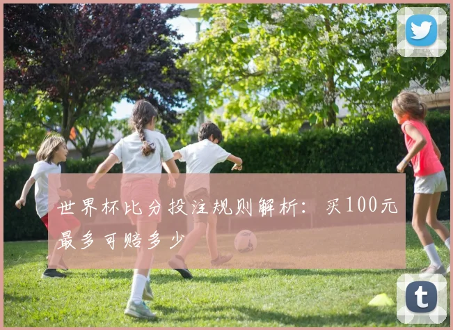世界杯比分投注规则解析：买100元最多可赔多少
