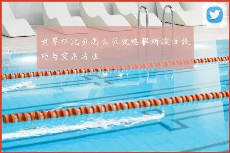 世界杯比分怎么买攻略解析投注技巧与实用方法
